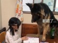 寂然爆料狗老师视频,揭秘电竞圈幕后真相