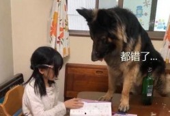 寂然爆料狗老师视频,揭秘电竞圈幕后真相