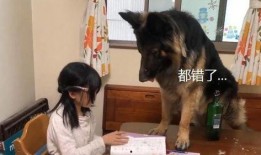 寂然爆料狗老师视频,揭秘电竞圈幕后真相