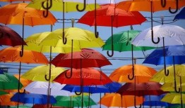 重庆网友爆料雨伞视频大全,雨伞下的城市风情视频大全集