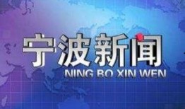 宁波新公司最新爆料新闻,揭秘神秘项目与行业突破！