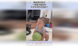 瘫娃吃瓜小说短剧免费阅读,短剧免费阅读，笑料横生的欢乐盛宴