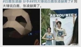 刘大锤三月爆料视频大全,热点事件幕后真相揭晓