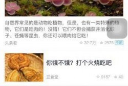 成都商报今日头条爆料,揭秘成都某神秘事件真相