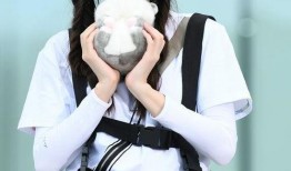 杨颖公开爆料男朋友视频,真相背后引发热议