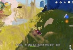 原神大哥爆料视频,大哥揭秘游戏神秘内容，带你领略奇幻世界