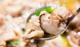 爆料牛蛙视频下载大全,海量资源一网打尽