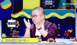 爆料涂磊视频播放,揭秘背后惊人播放量背后的秘密