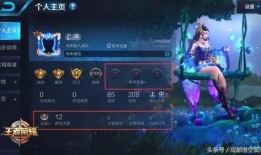 王者太阳爆料视频大全下载,揭秘游戏幕后精彩瞬间