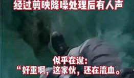 河津最新事件爆料视频,视频爆料揭示惊人真相！