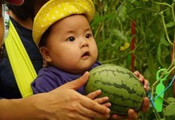 专门吃瓜的群免费,免费畅享娱乐圈最新瓜料