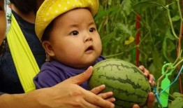 专门吃瓜的群免费,免费畅享娱乐圈最新瓜料