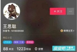 王思聪抖音最新爆料视频,揭秘娱乐圈不为人知的秘密