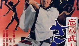 忘八武士道在线观看,在线重温经典武侠传奇