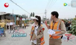 新疆最新新闻爆料视频大全,视频大全揭示热点事件与民生动态