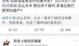 杨紫最新爆料贴吧微博号