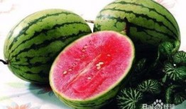 718吃瓜网红篇,揭秘网络红人的幕后故事