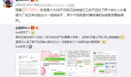 美国华人圈爆料视频播放,揭秘背后真相