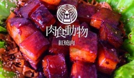 娱乐吃瓜酱猪脚饭视频,揭秘网红美食背后的故事