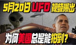 外国爆料视频在哪里看,一探究竟