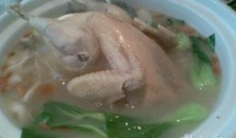 餐馆爆料鸡汤视频大全,热门鸡汤视频大盘点