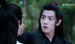 陈情令第35集在线观看,风云变幻，命运交织，揭秘神秘势力真相