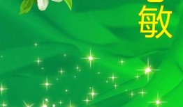 树叶最新爆料文案图片,最新爆料图片背后的惊人真相