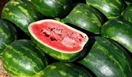 吃瓜素材免费下载视频网站,一网打尽热门素材网站