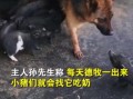 小猪视频爆料,揭秘娱乐圈幕后真相