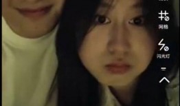 艾辰老婆爆料视频,揭秘明星夫妻背后的真实生活