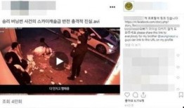 最新事件爆料视频,视频爆料揭示惊人真相