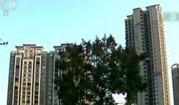 惠州楼盘爆料事件最新,揭露背后惊人真相，购房者权益如何保障？