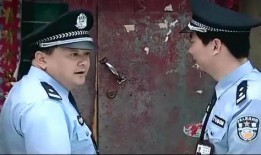 老警在线观看,在线揭秘警界传奇