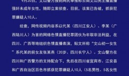 中学生新闻爆料案例分析,揭秘校园事件背后的真相与反思