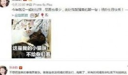 音乐娱乐八卦爆料,明星们的音乐幕后故事大曝光！