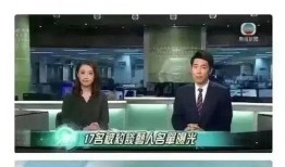 明星补税爆料视频大全集,明星补税爆料视频大全集深度解析
