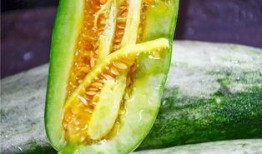 去哪里吃网红瓜,一网打尽美食之旅
