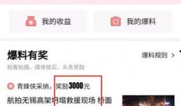 今日头条爆料怎么拿钱,轻松赚取收益的赚钱攻略