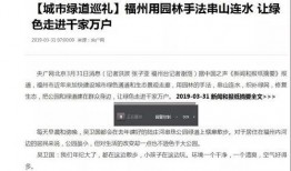 央媒新闻爆料邮箱,新闻爆料邮箱背后的故事
