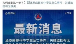 中学生新闻爆料案例分析,揭秘校园事件背后的真相与反思