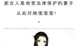 娱乐圈小说推文爆料大全,揭秘明星幕后故事