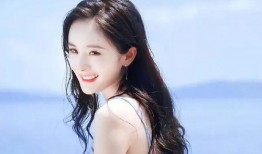 许凯爆料杨幂视频大全集,视频大全集深度解析