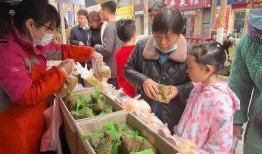 娱乐吃瓜场湛江