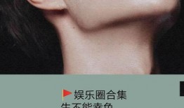 娱乐圈小说推文爆料大全,揭秘明星幕后故事