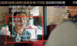 一级横片视频在线观看,一级横片视频在线观看攻略