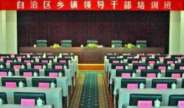 乌鲁木齐新闻大爆料,揭秘城市热点事件背后的真相