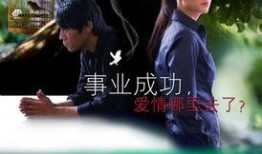 夜莺电影在线观看,穿越时空的歌声，在线观影之旅