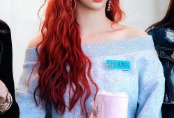 姐姐出场爆料视频,独家爆料视频大公开