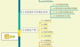 河源婚庆爆料视频大全集,视频大全集精彩瞬间回顾