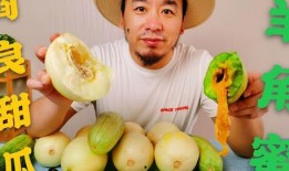 网红吃瓜大集合集是什么,揭秘娱乐圈幕后风云